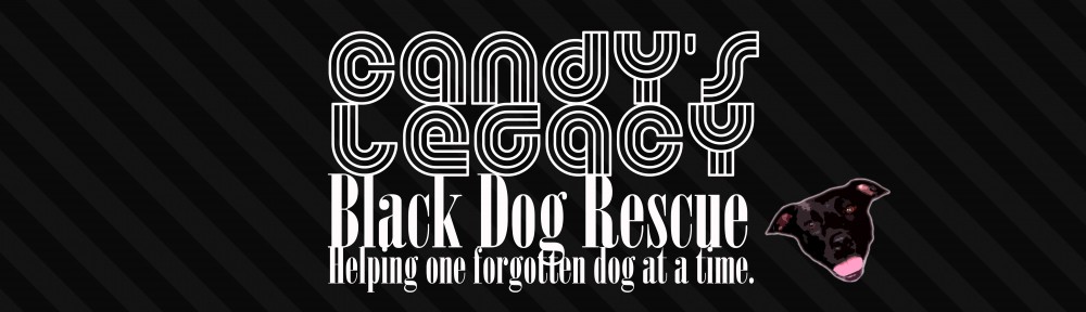 Candy's Legacy Black Dog Rescue